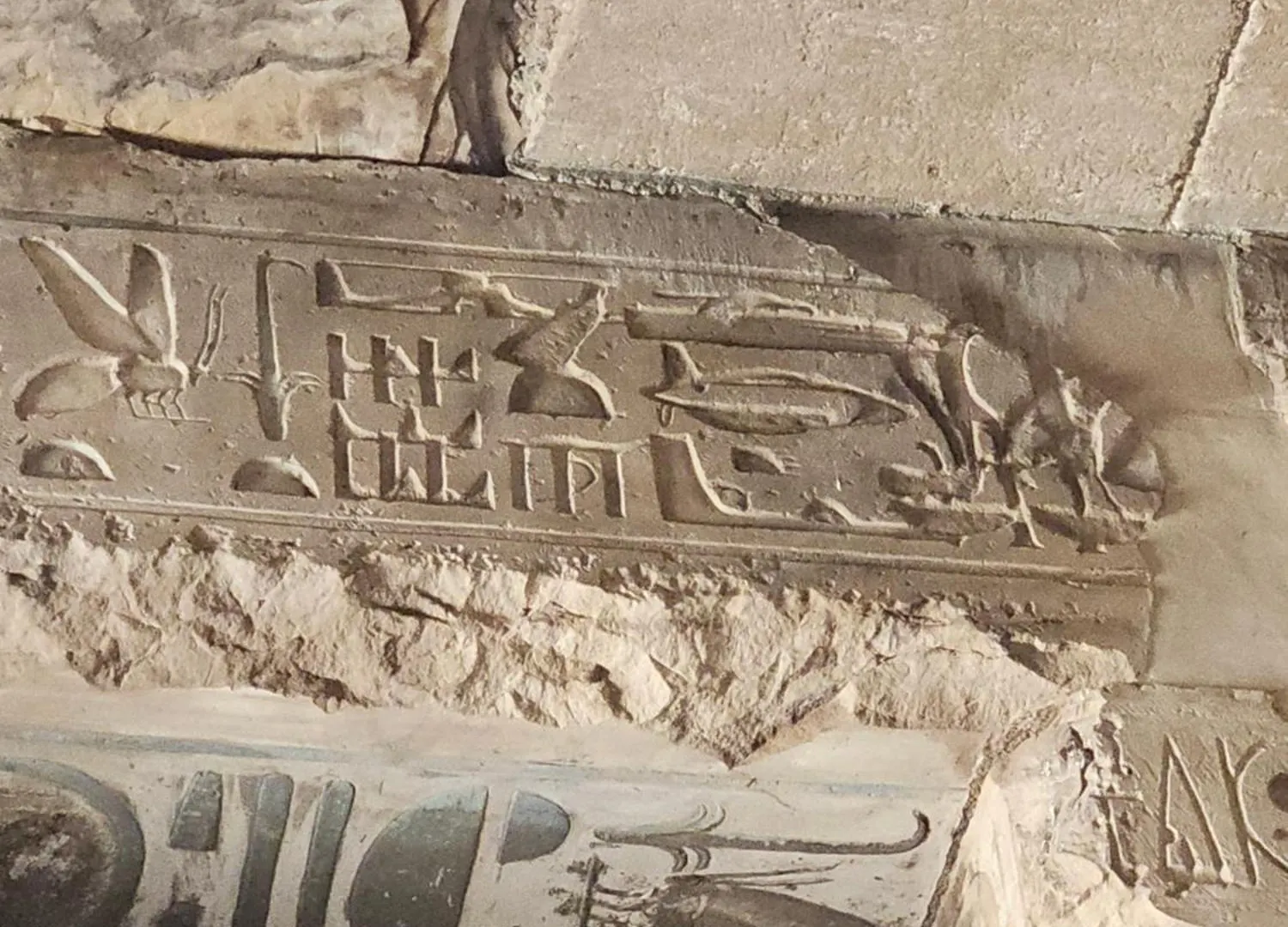 Casa Helvetica Διαμέρισμα Λούξορ Αίγυπτος